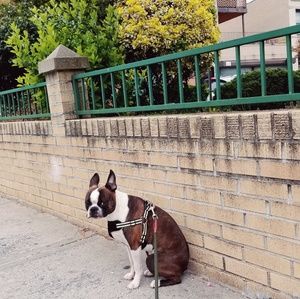 Meet your Posher, Jane